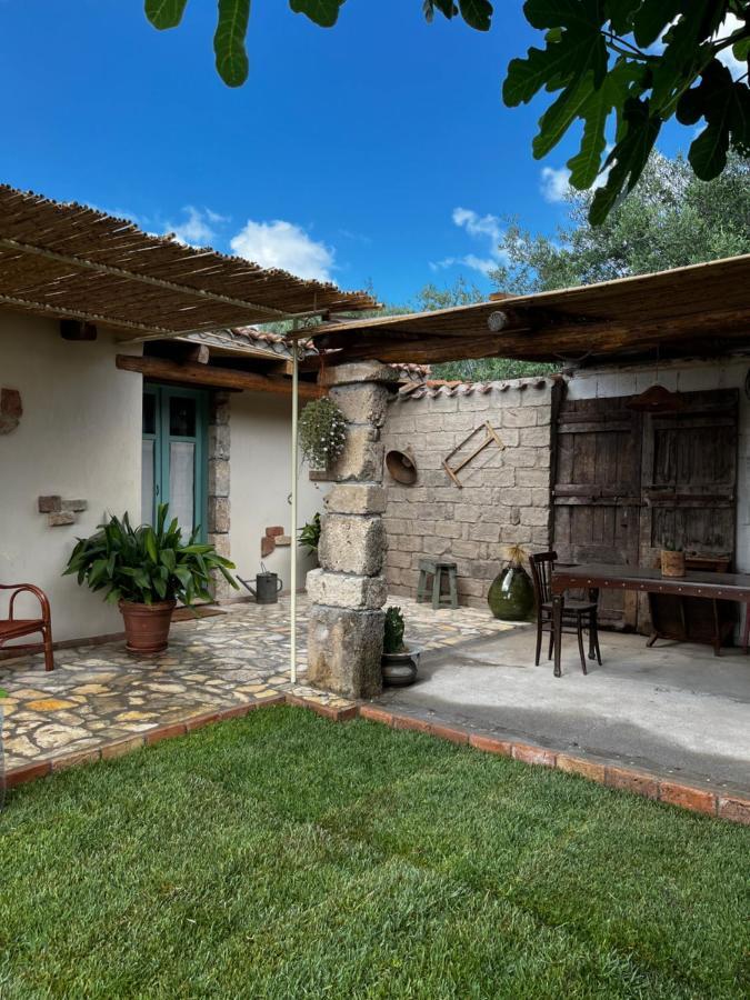 Hostal Graziosa Stanza Campidanese Su Terzu Oristano Exterior foto